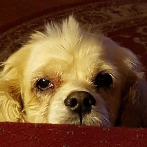 Meet your Posher, Sherree